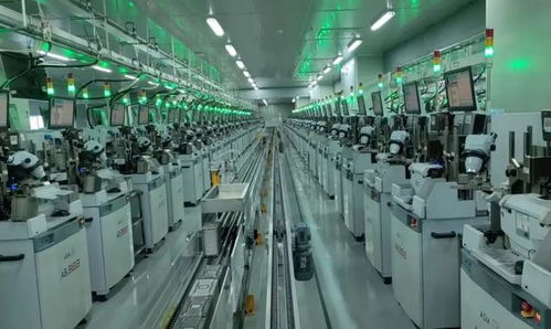 青山湖區助力兆馳光電創新發展，驅動電子信息產業提檔升級